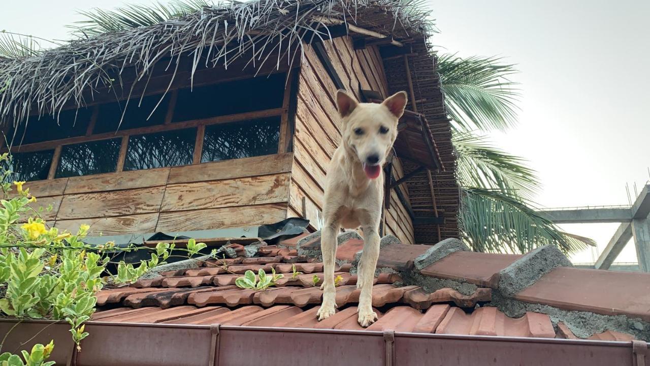 Wanderers Hostel Trincomalee Extérieur photo